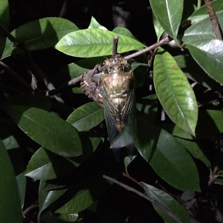 2a5a640d 1273 4cac 9f72 aa99a2e16ce2