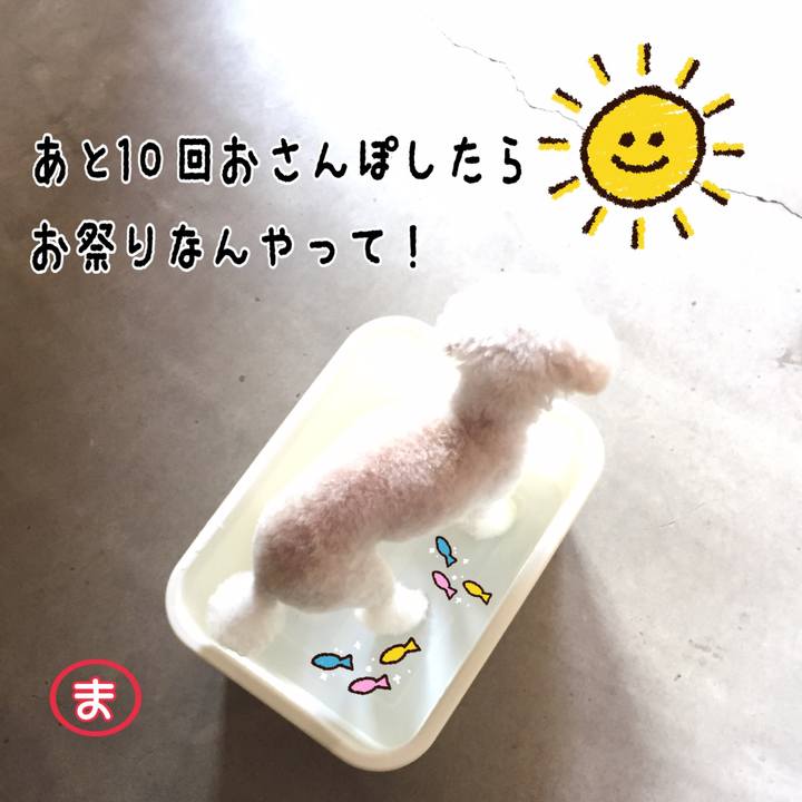 2a5a7848 1577 4a62 8fd2 f2c847c2965a