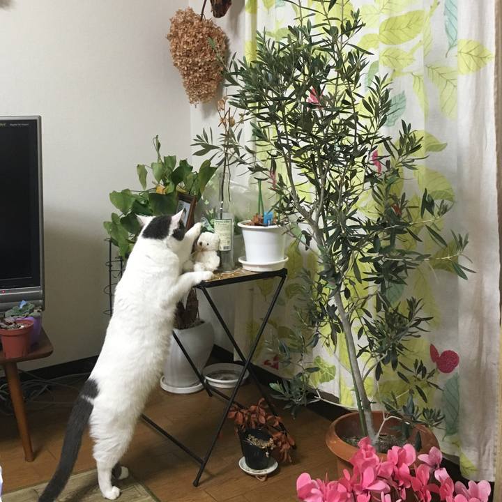 2a5aa399 ebd8 4112 9b06 9b17ae3a2cd9