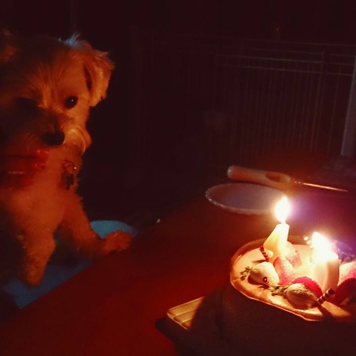 2a5ae1a1 9b78 44d0 bbd1 fb9c224c4307