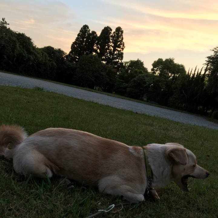 2a5b47f5 8dd4 42ef aa8c e6f57bf7efd3