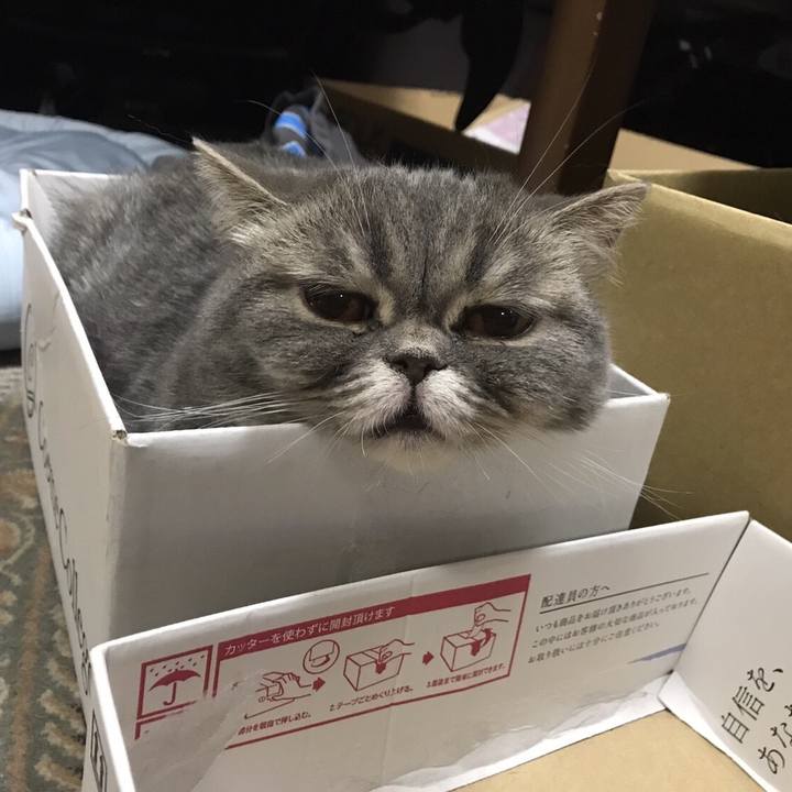 2a5ba959 d3a0 4bae 8ae5 c312d3255823