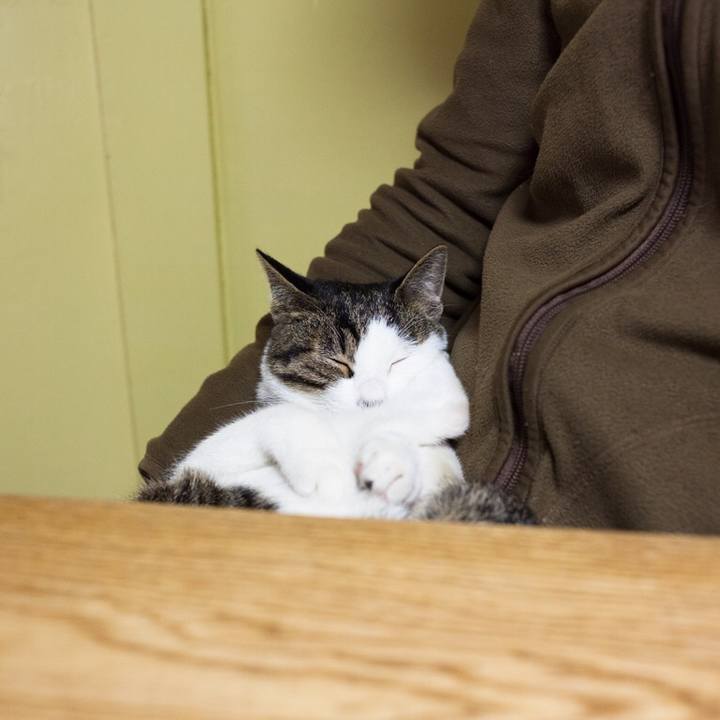 2a5bc71c 1006 478c b5cc 156b7f78eef8