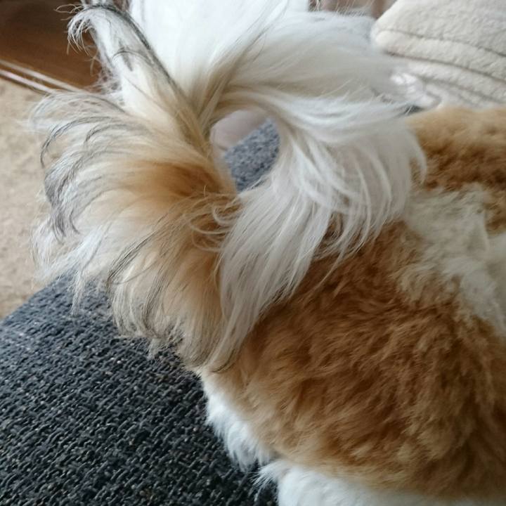 2a5c1b28 2ad7 4e10 b4ad c440f3f6e2da