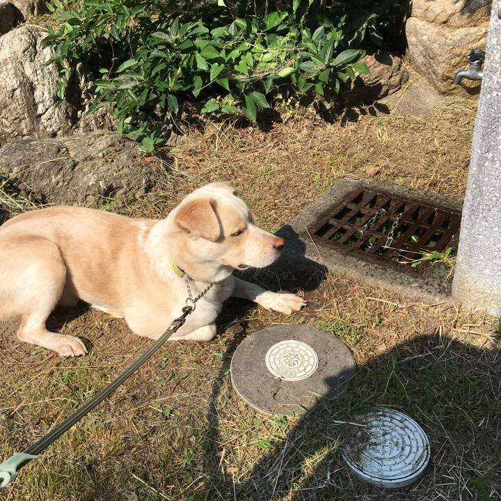 2a5ce777 840e 47ea 9b0c 816a73391c32