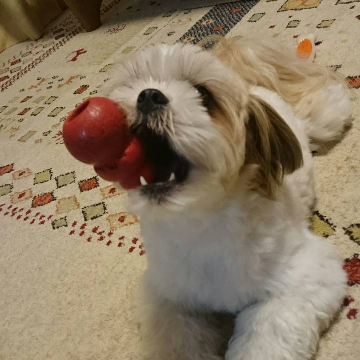 2a5dc68e 459c 4e7a b416 c9d1ac2f73b2