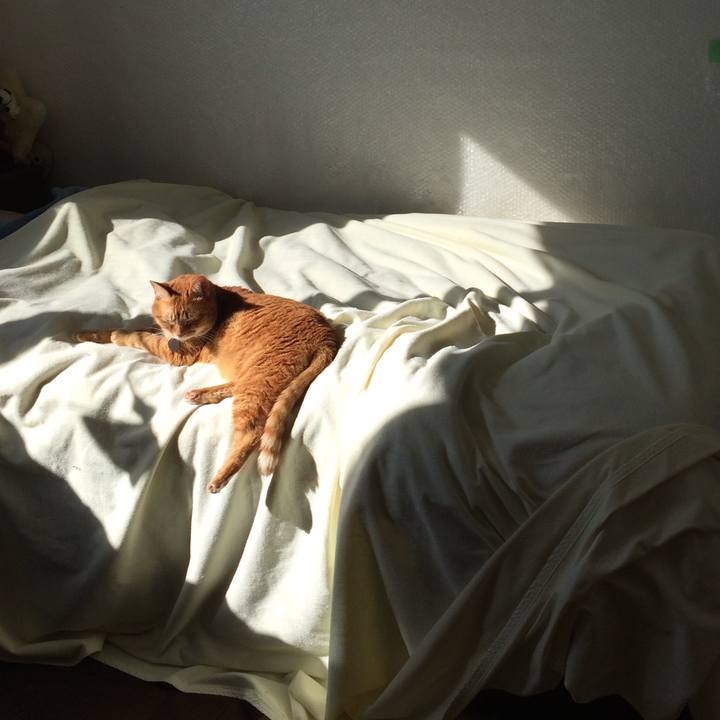 2a604ea8 e1ed 4108 bca9 a55cd9f9a023