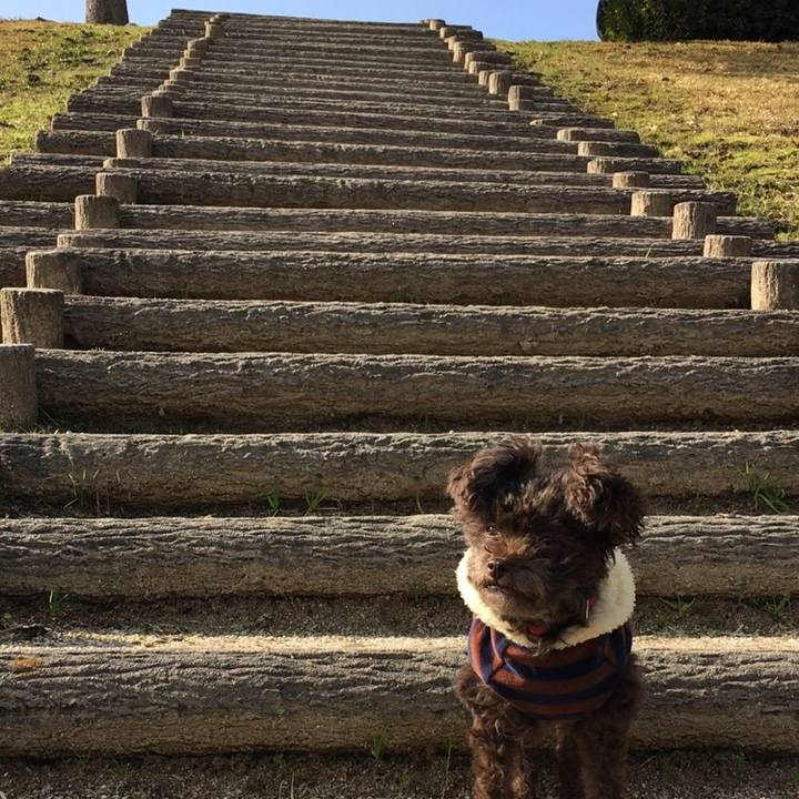 2a60bd65 5967 4ac7 8415 14a0861e5fa5