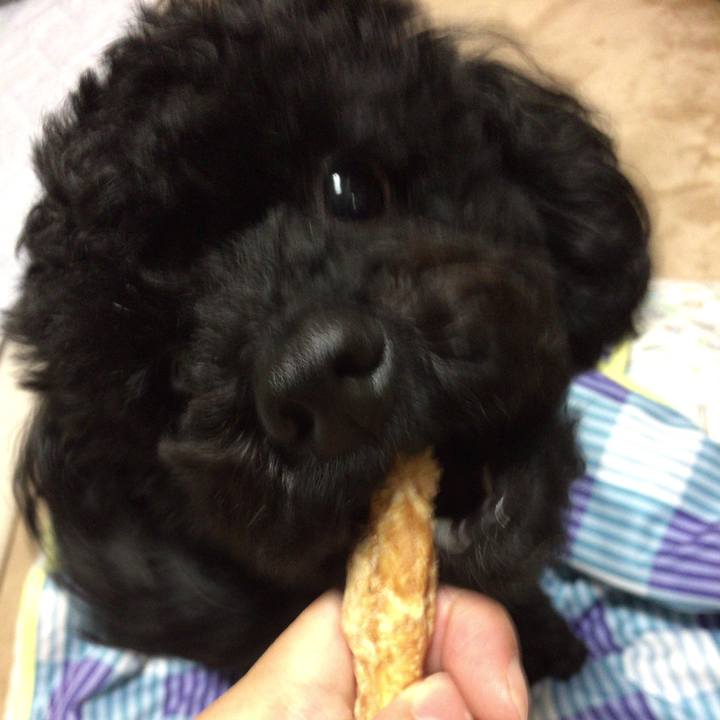 2a610070 3fc8 469f a264 b4d4b1852c1b