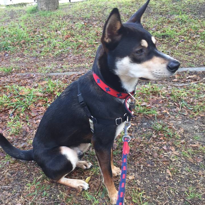 2a61296f 2386 48f4 bc4f 3a1288e03520