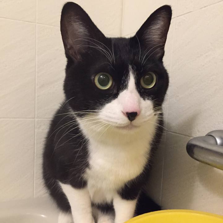 2a6176f5 0369 4c5b a120 faca7e55be9c