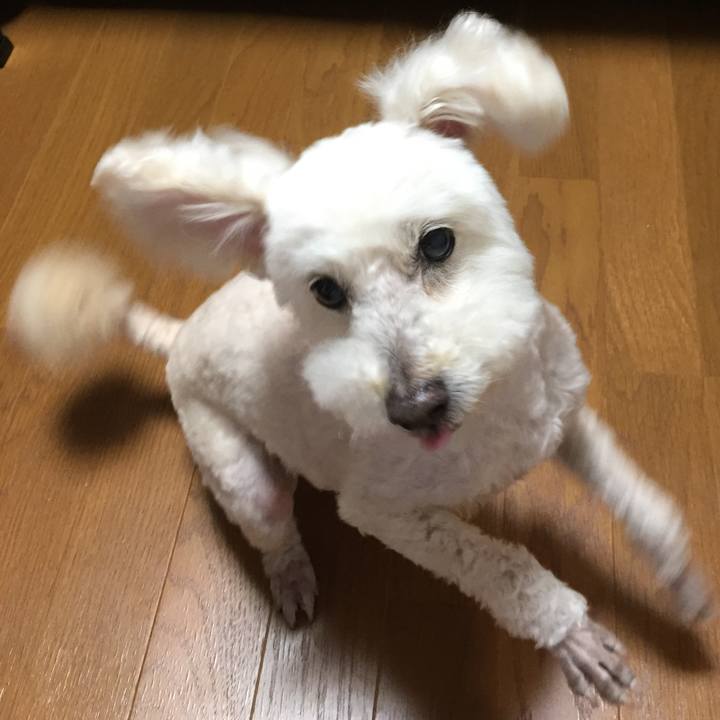 2a61c1d0 91b7 43a7 a2db 5d080a12647f