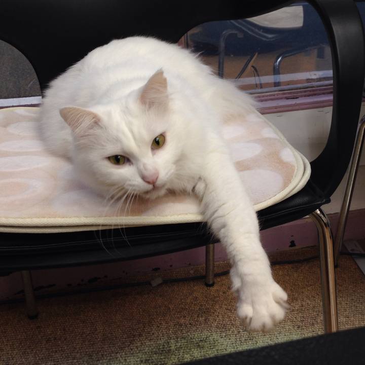 2a61c752 b7e9 4754 aa77 1858d35c023b