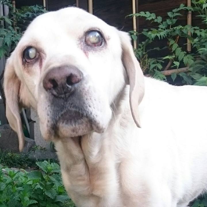 2a62d3e0 6a48 48e1 bdab 8970a2326bd9