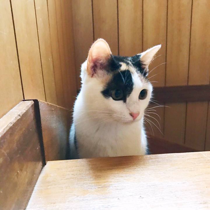 2a635342 65e2 412b 8c7f d6ddac4f46fb