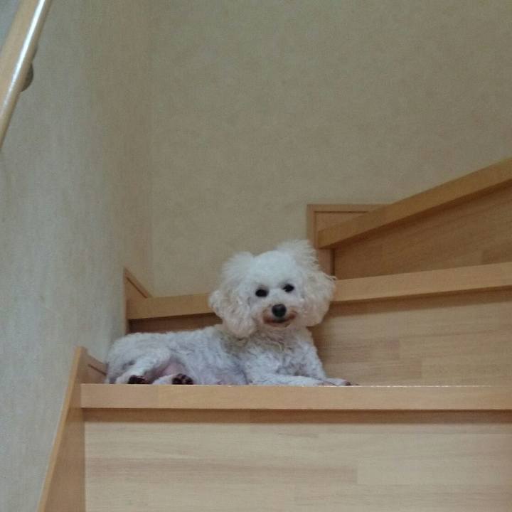 2a63afda 46fc 4695 8d5d f6e72a6e0a99