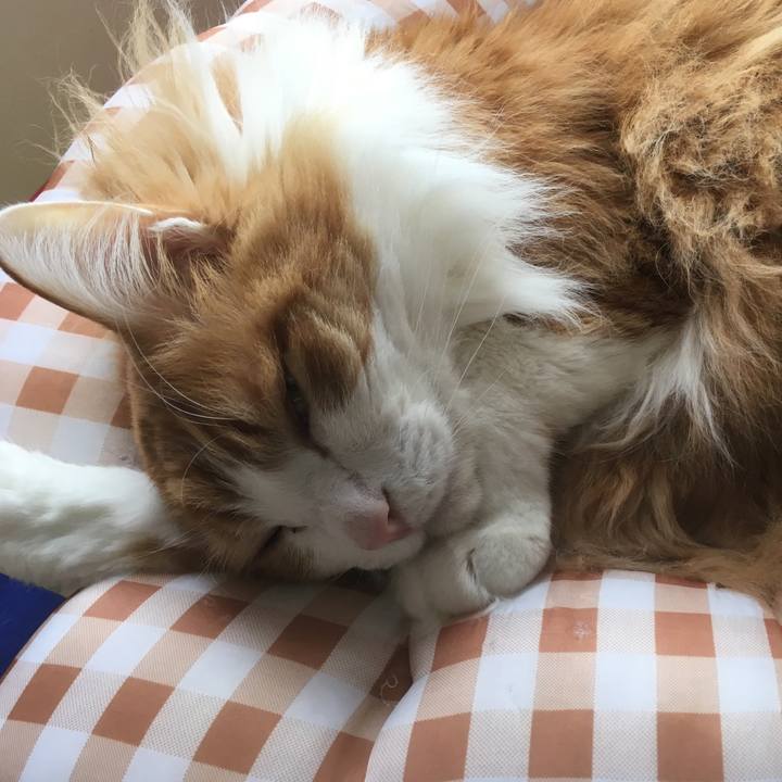 2a63d6f8 7fd3 409f 8c89 30213f3bd995