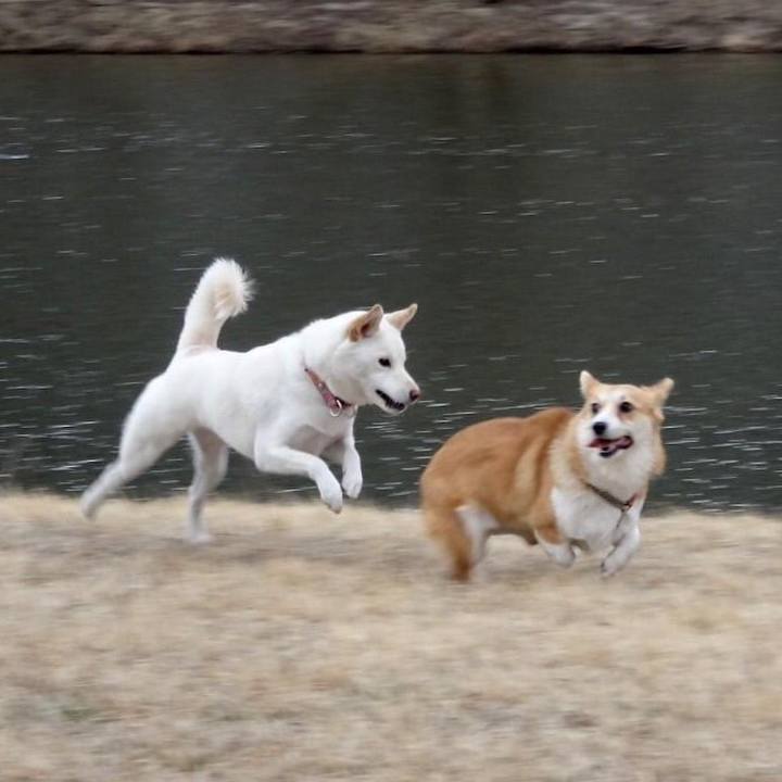 2a6409e6 93d7 4e18 9fc6 c32db8ebcb6f