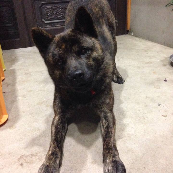 2a652738 9624 4835 9692 6e0d1ec7d074