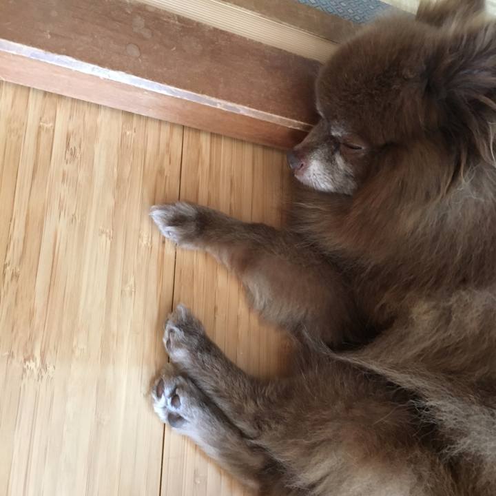 2a6533aa a286 418b 9d77 76a4b8533554