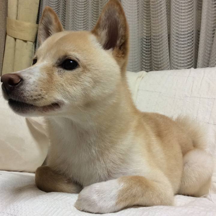 2a65d46b ed9f 405e b745 1ce1af70193e