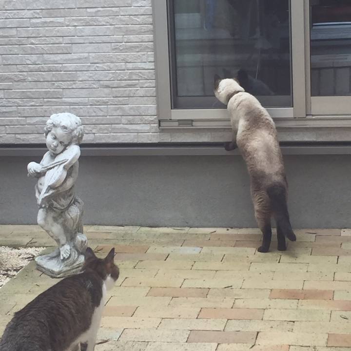 2a6629f9 0a50 4a1f 9616 be343b5cf8f1