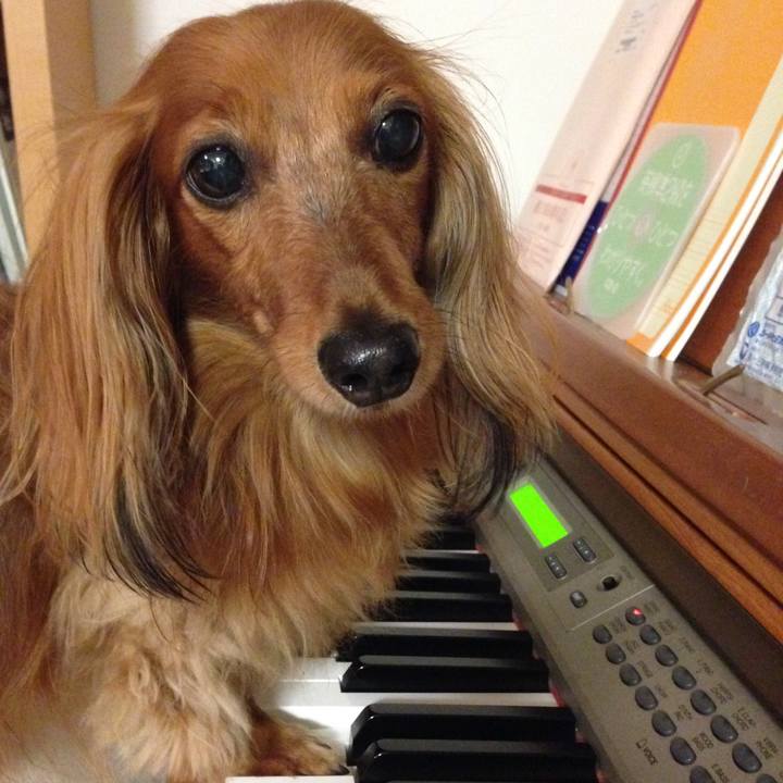 2a66a84f 1a76 488a b0fc 5a20a486a419