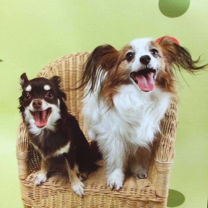 2a66c0dc 172b 4ebd bc70 a6d20bfdfc73