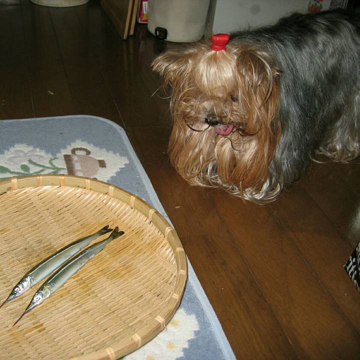 2a66d1b9 75ed 4a13 880e 2be57b633b68