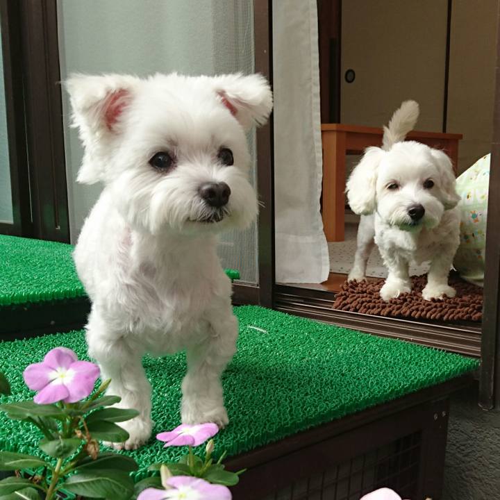 2a66d6e5 33e5 4ae9 a1e9 57963e3981c6