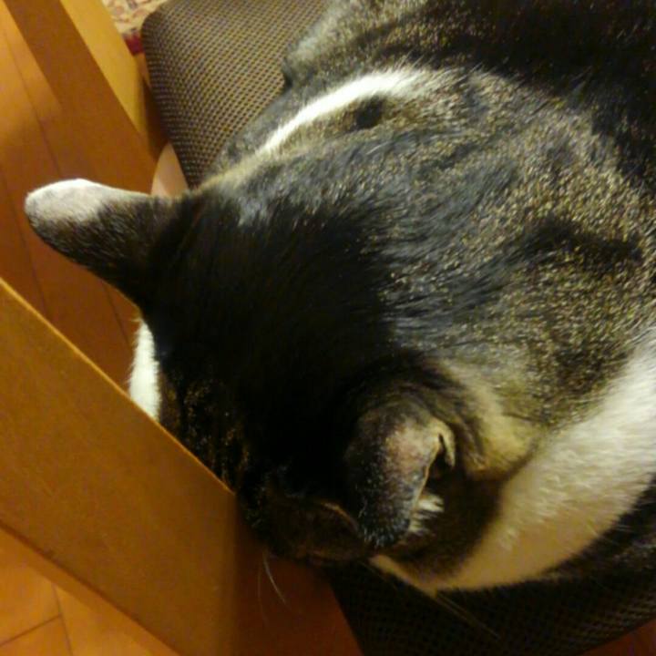 2a6705ad ff11 4cd3 bd8d eb79bac9d1c5