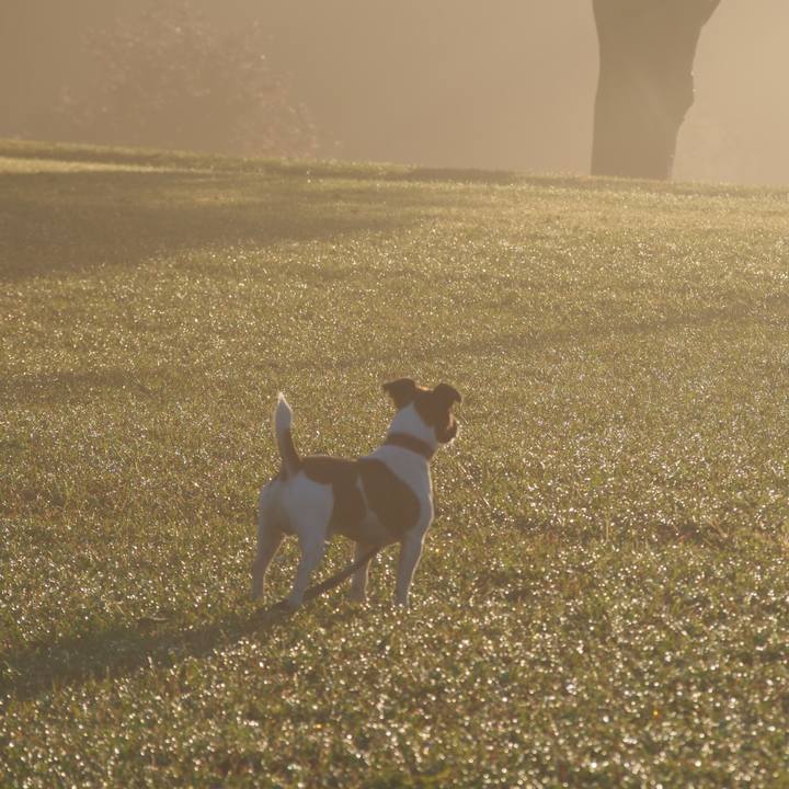 2a67f82d 1b08 4ca9 9d65 532e964d9885