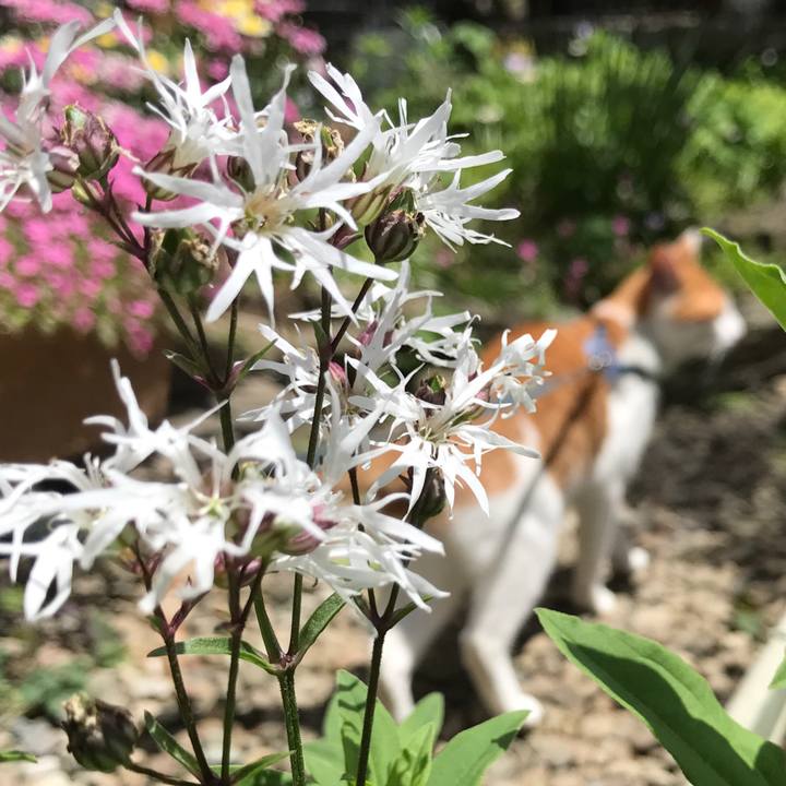 2a68220a 35da 4e68 a6f9 8bba7bfdfa48