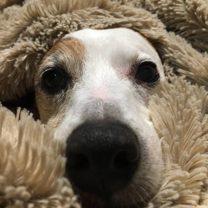 2a68350a 1025 4736 a2ec 4a54bb2f0270