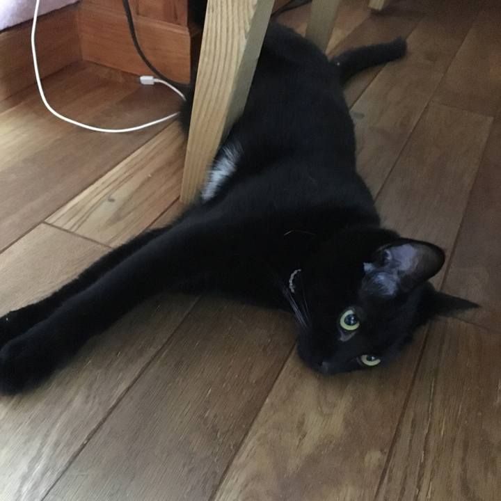 2a6867a6 8d38 4a73 9452 d5addd152681