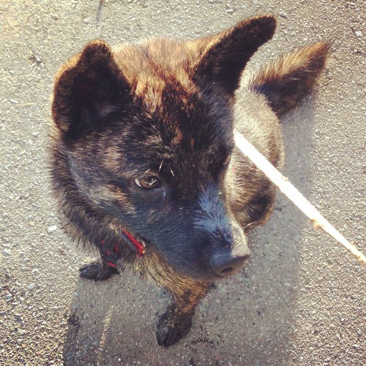 2a693e5b 81c0 47b0 ba83 7765a3ca99e9