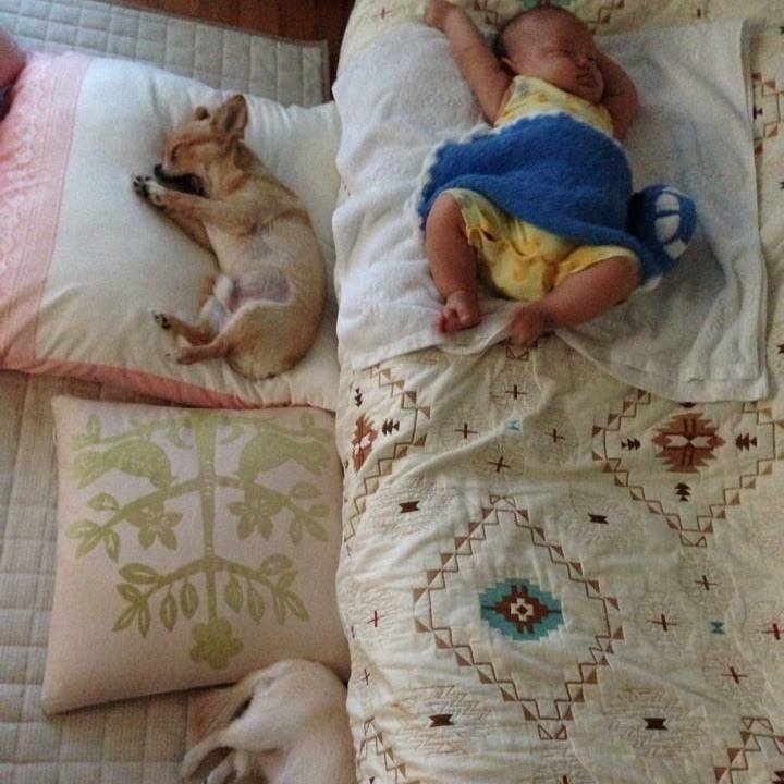 2a69cb1b 639e 4a76 9f2d 6328a14581ee