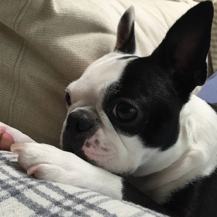 2a6a5268 8857 4391 86de 259873fa7c22