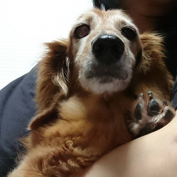 2a6a5384 1eb5 4ba0 93b7 3107d23f969b