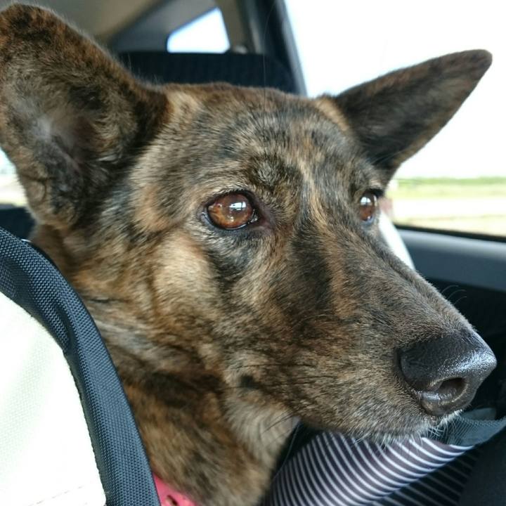 2a6a6d0e 6cd9 4e47 9fe4 63a2cc49682e