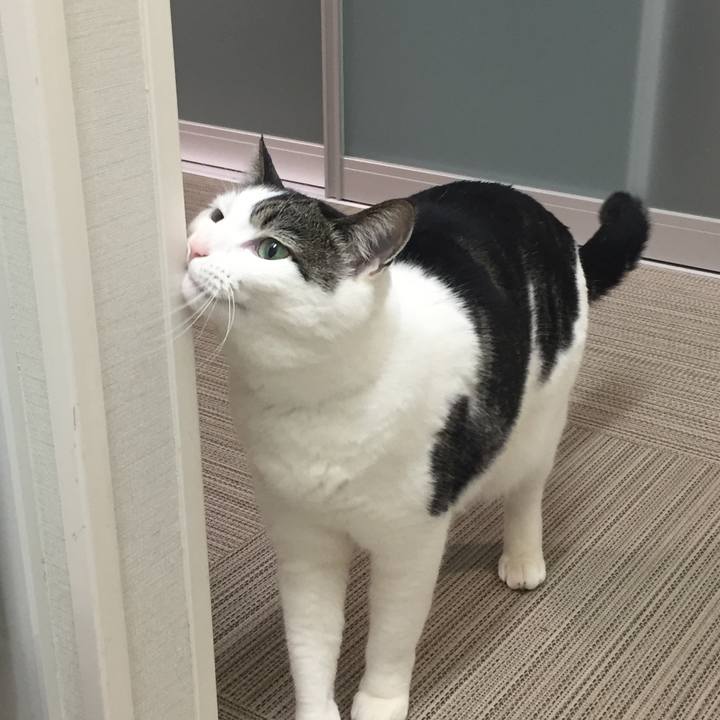 2a6a898e 9f81 470b a3f4 8b783b87d72c