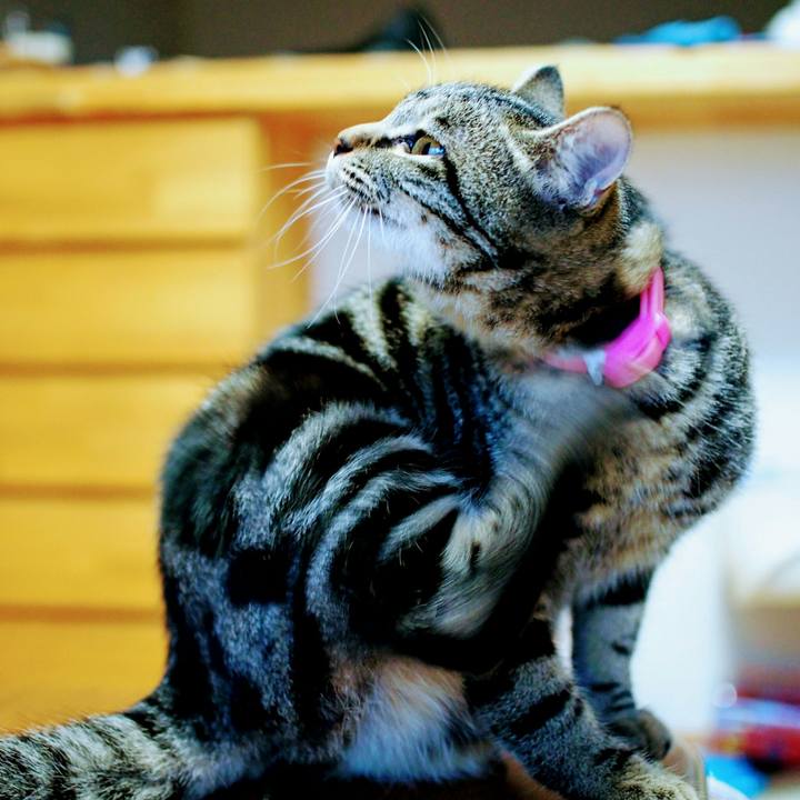 2a6b1118 ff2e 41f7 928d ff247a75657e