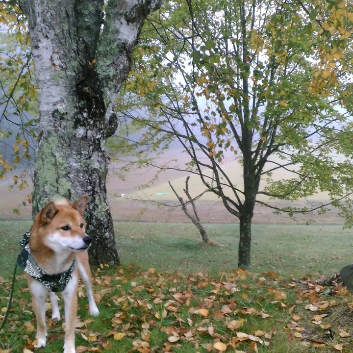 2a6c75ba 3173 44cd 8345 0ee60a3c3666