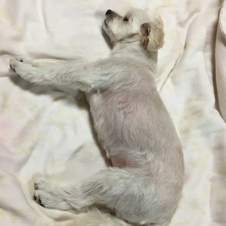 2a6c7d94 6390 4692 a93d 86f789f7a34b