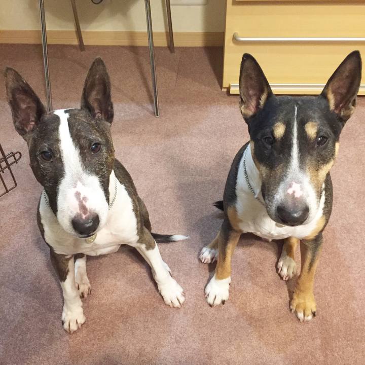 2a6cab13 2557 4aff bf57 f78d617e5854