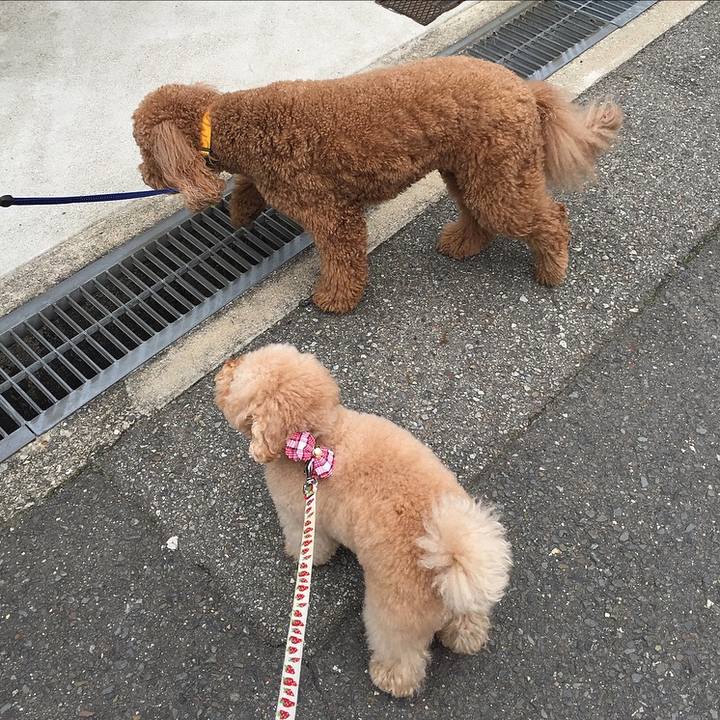 2a6caf51 bfd4 4307 9ee1 92e2deaee604