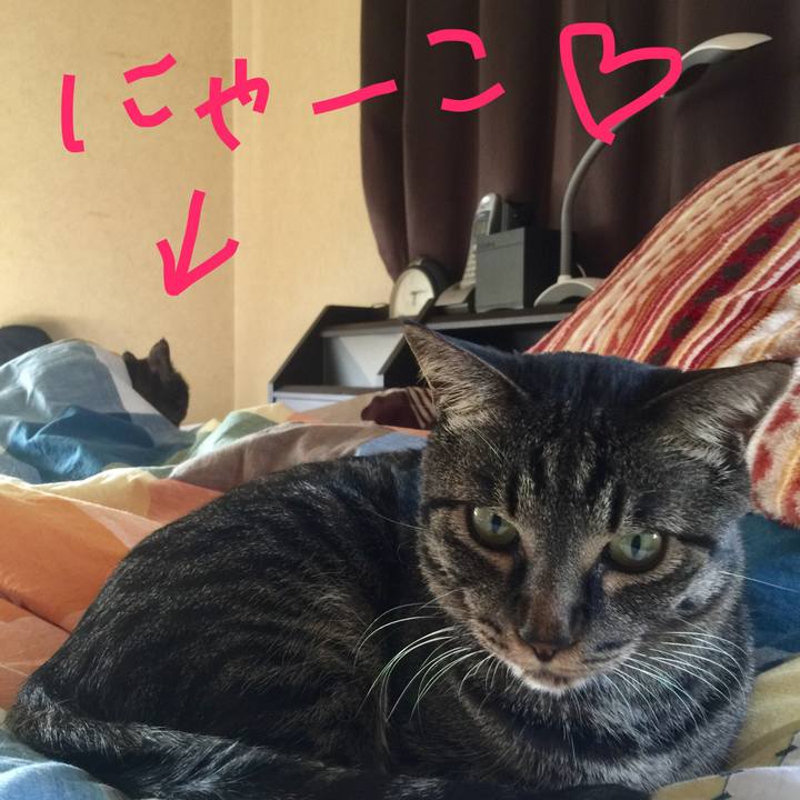 2a6ce0e2 3b9a 43eb ae9d 85778187c2bb