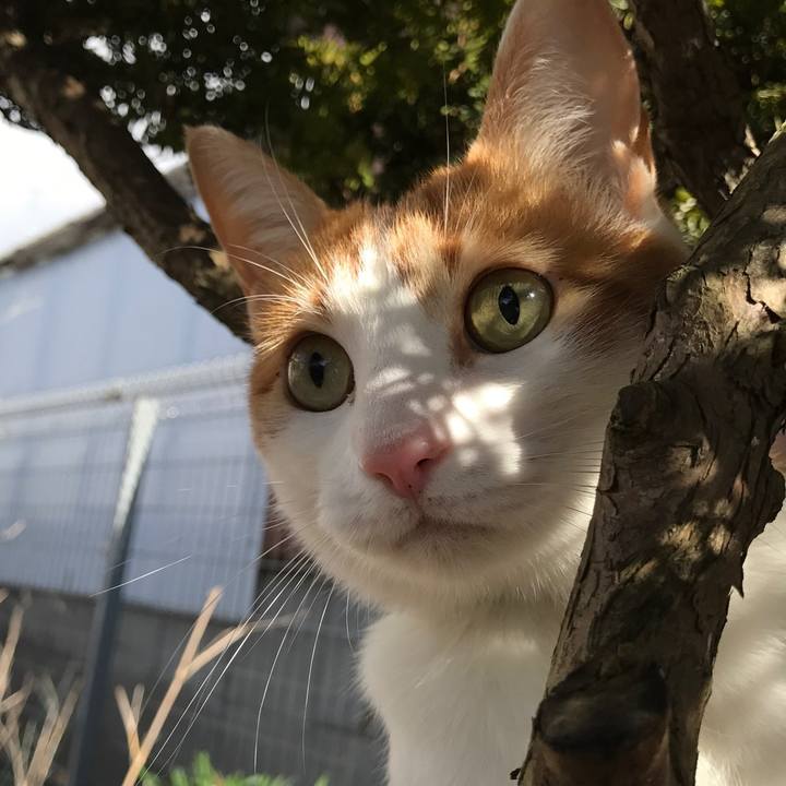 2a6d2d9c af97 47be ac9b 7b05fae84a7b