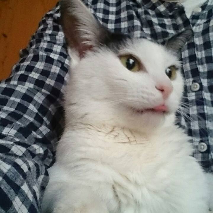 2a6d372a 8600 4e48 a202 e5dd459ad6cd