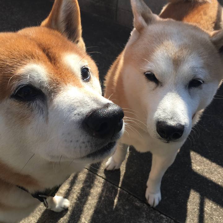 2a6d7c74 5948 4d27 a18e 1e710e7ed4ed